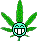 Weed :obscene-smokingweed: